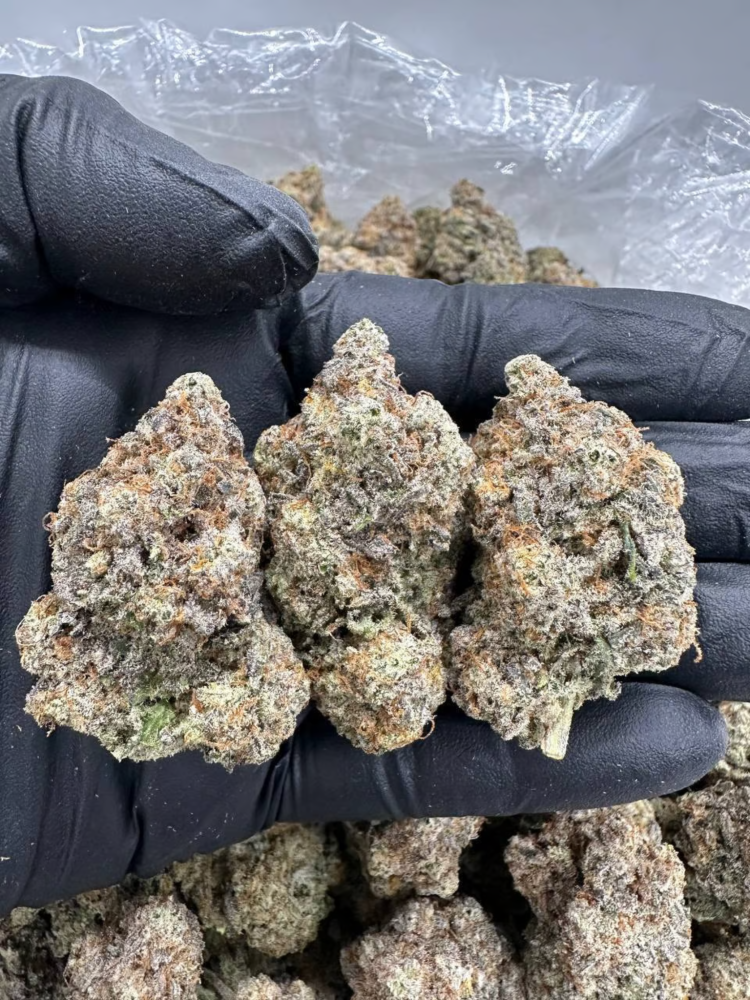 BANANA FOSTER PIE - MC801BM