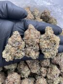 LEMON CHERRY GELATO - MC915SLC