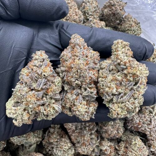 LEMON CHERRY GELATO - MC915SLC