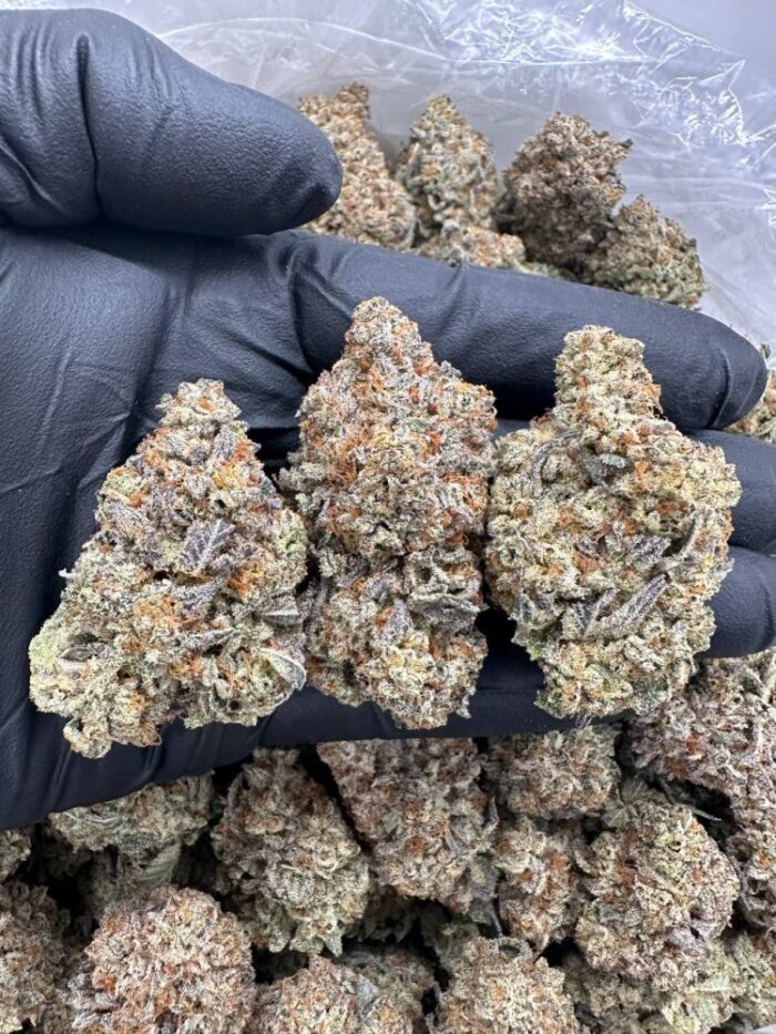 LEMON CHERRY GELATO - MC915SLC