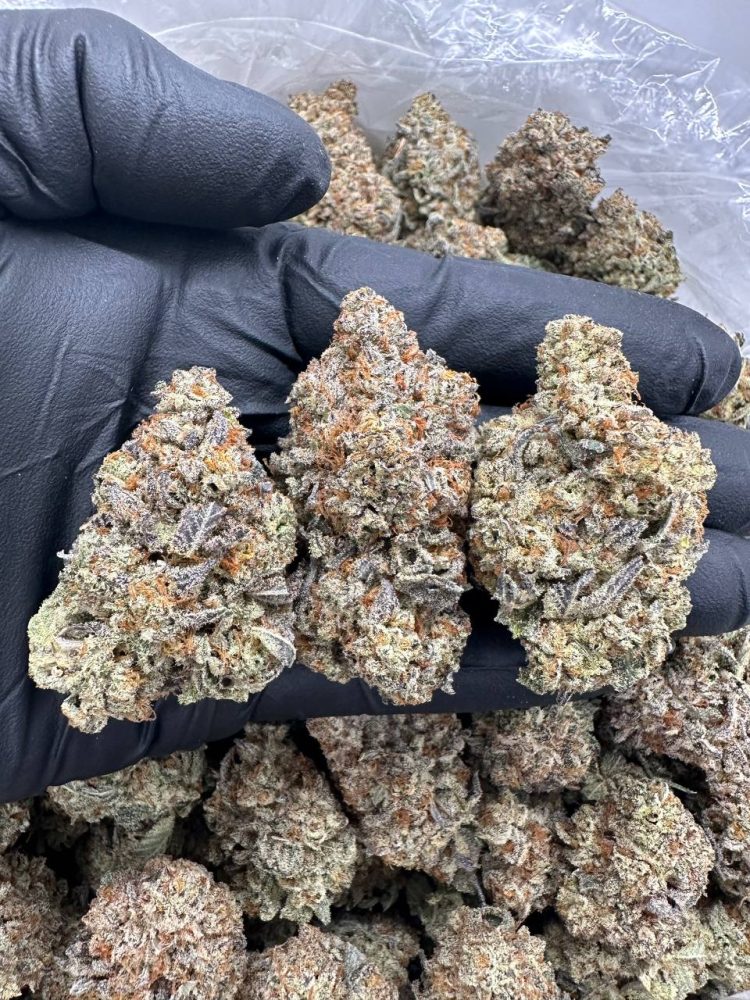 LEMON CHERRY GELATO - MC915SLC